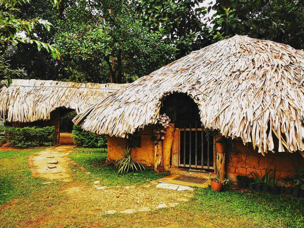 Hasthi Safari Cottage Udawalawe Eksteriør bilde