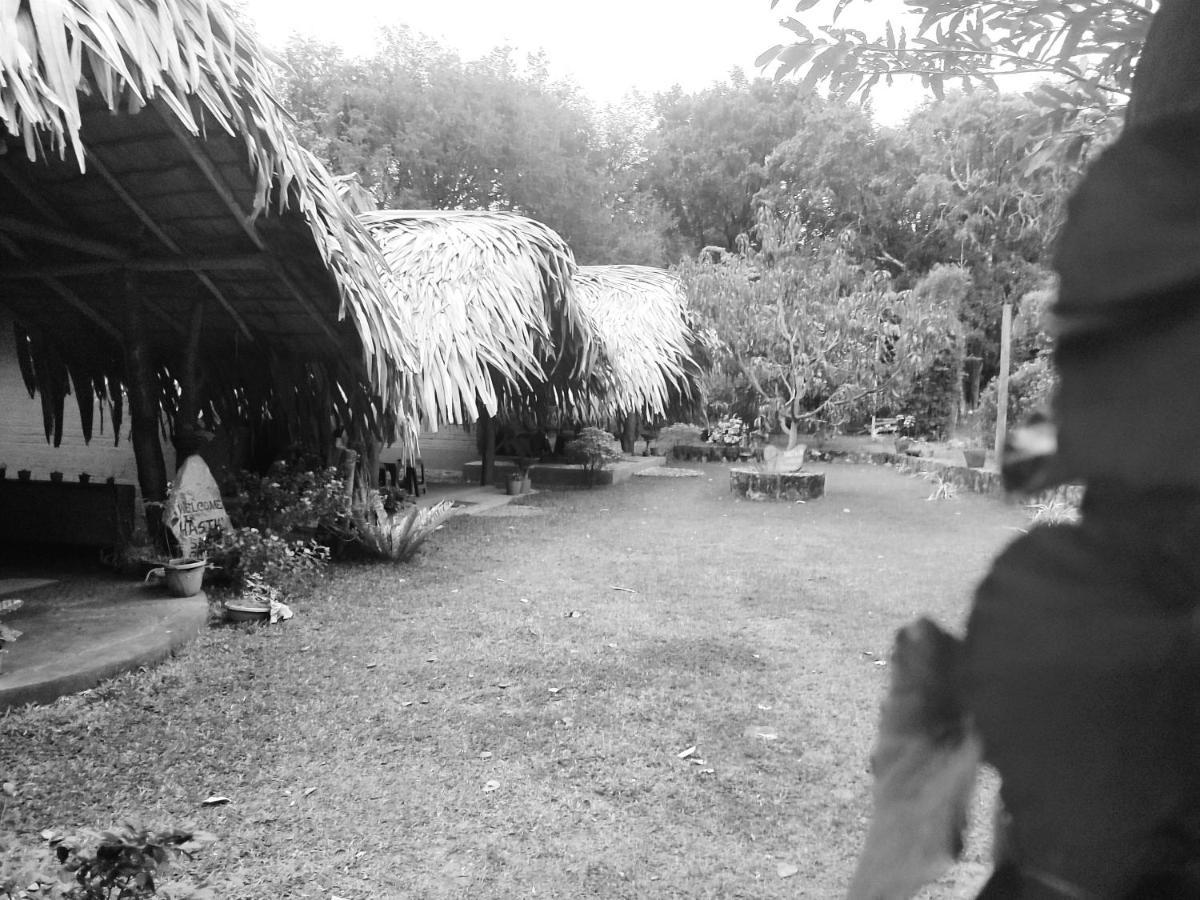 Hasthi Safari Cottage Udawalawe Eksteriør bilde