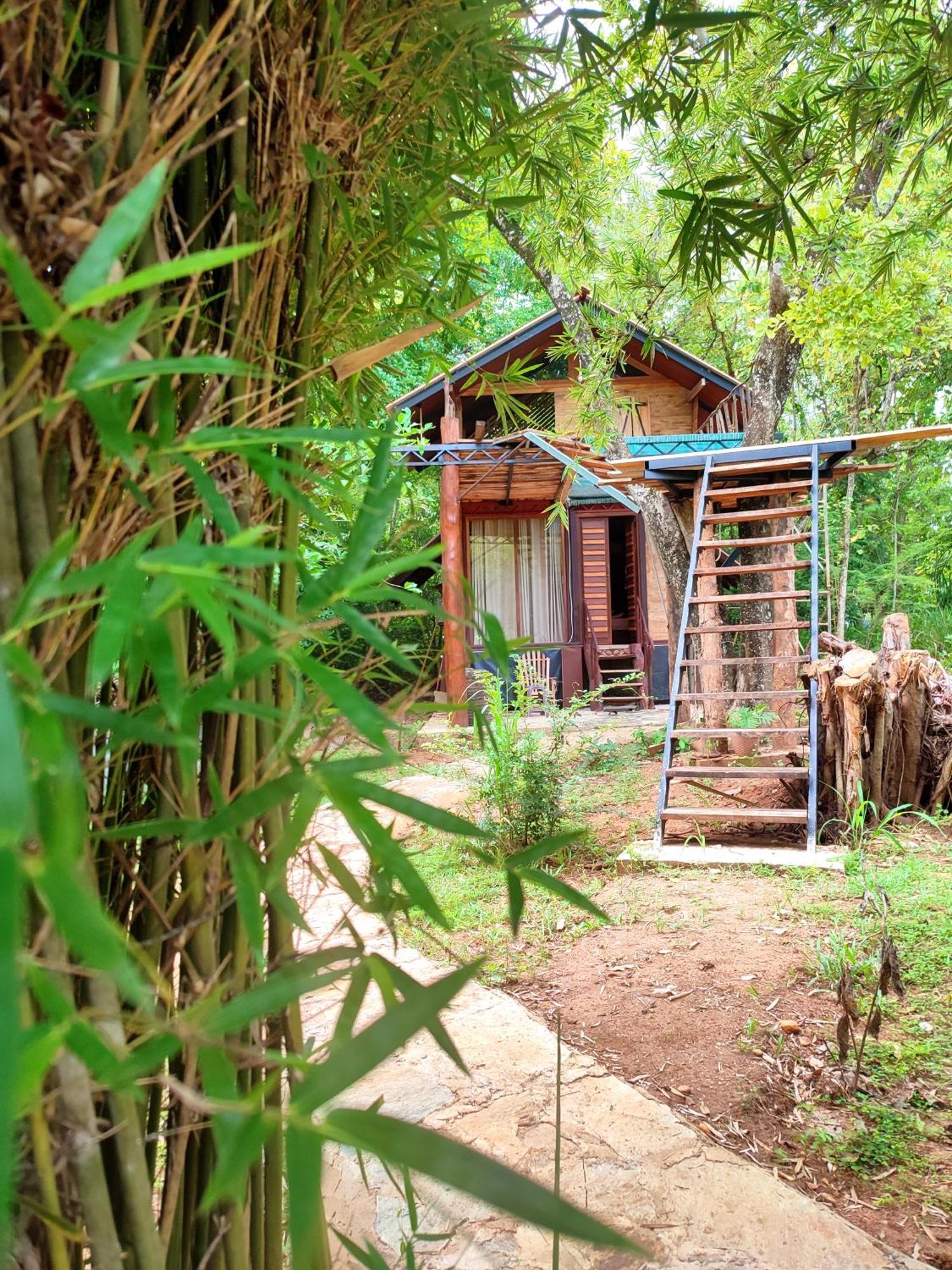 Hasthi Safari Cottage Udawalawe Eksteriør bilde