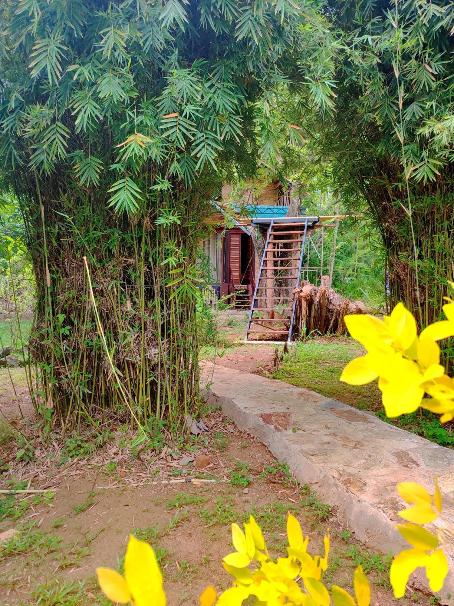 Hasthi Safari Cottage Udawalawe Eksteriør bilde