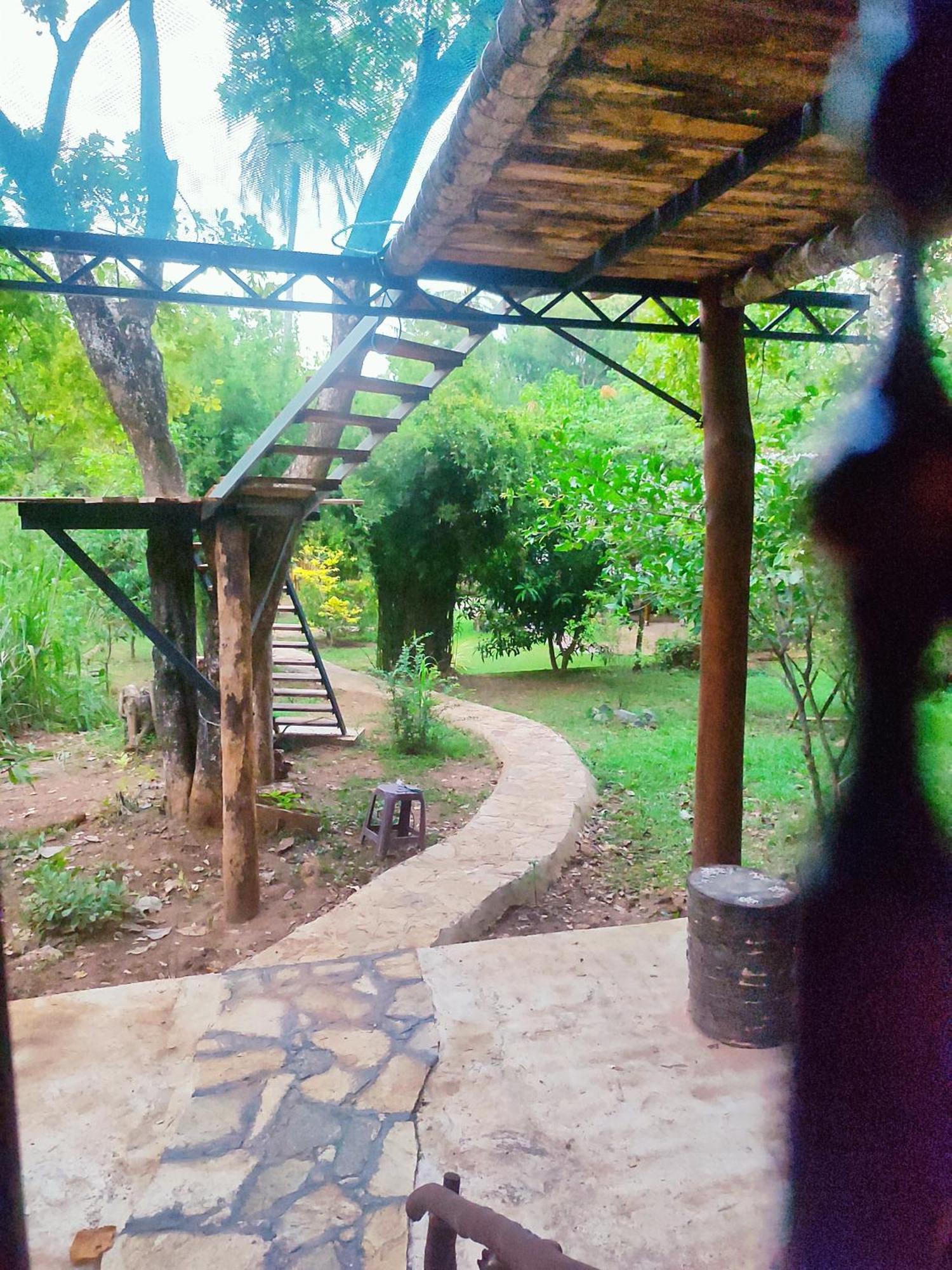 Hasthi Safari Cottage Udawalawe Eksteriør bilde
