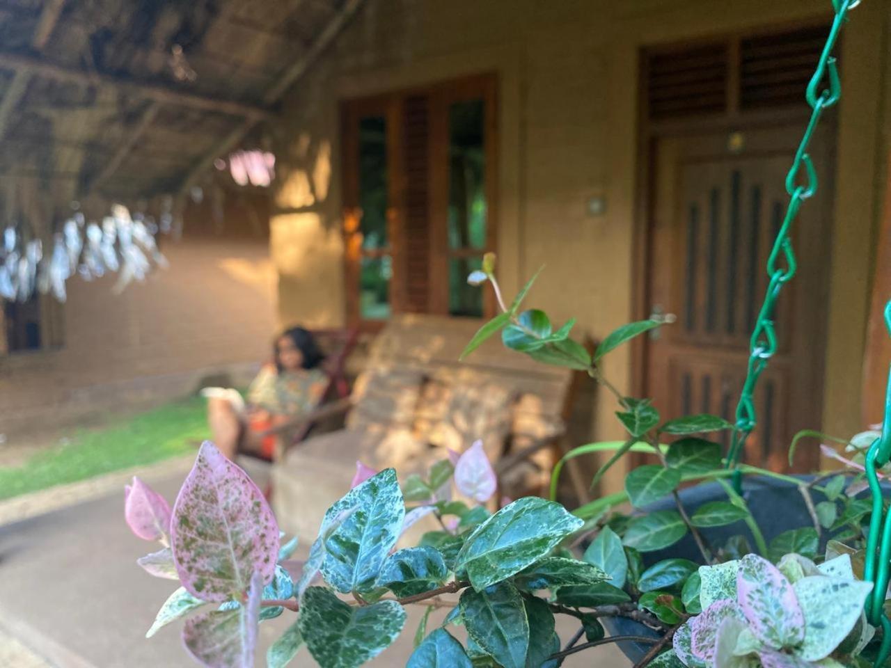 Hasthi Safari Cottage Udawalawe Eksteriør bilde