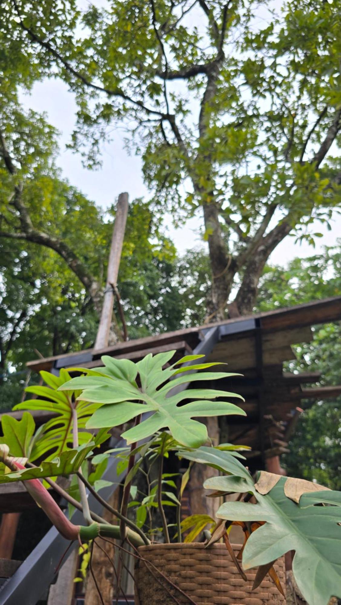 Hasthi Safari Cottage Udawalawe Eksteriør bilde